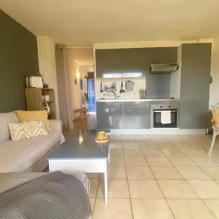 élégant T2 En Résidence De - Santa Monica 129 Canet-en-Roussillon